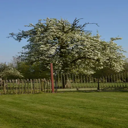 Comfortable With Sauna Flobecq