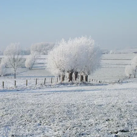 Comfortable With Sauna Tatil Evi