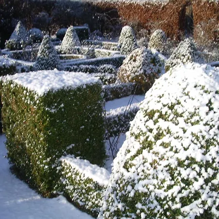 Comfortable With Sauna 펜션 *