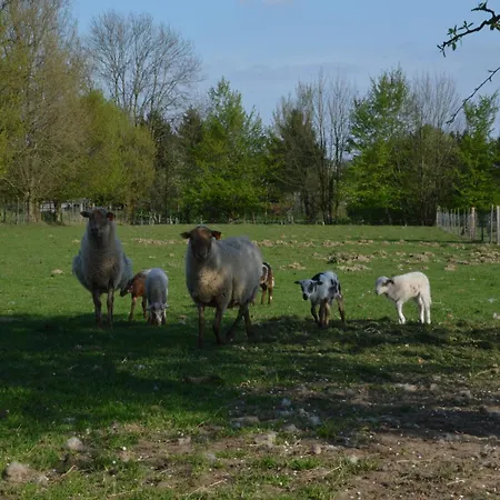 Comfortable With Sauna 펜션 Flobecq