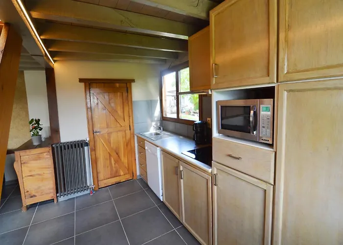 Comfortable With Sauna Flobecq