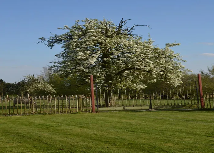 Comfortable With Sauna Flobecq