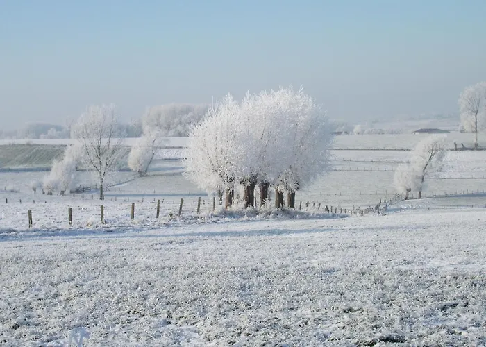 Comfortable With Sauna בית נופש