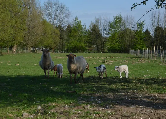 Comfortable With Sauna Casa de Férias Flobecq